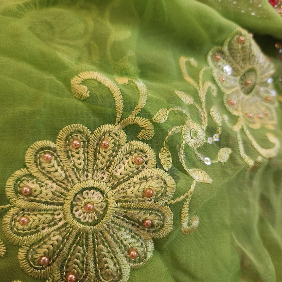 Embroidered Green Traditional Indian Saree - Picture 2 of 9